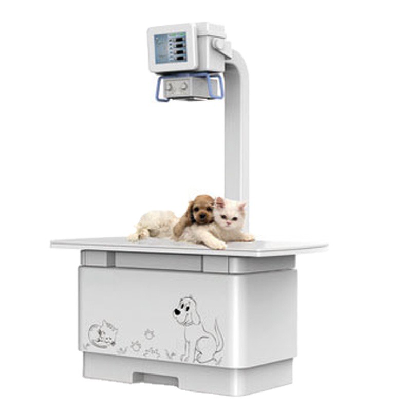 Vet Digital Radiography System