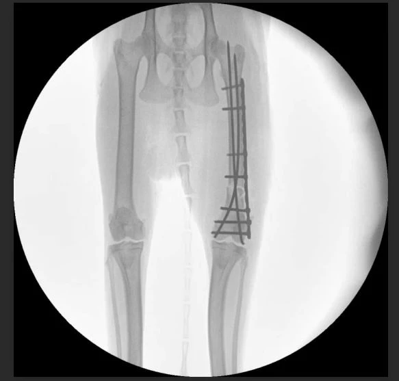 VET High Frequency Mobile C-arm System Surgical VET High Frequency Mobile C-arm System Surgical
